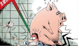 猪价最新爆料图片大全,最新爆料图片大盘点，揭秘市场动态